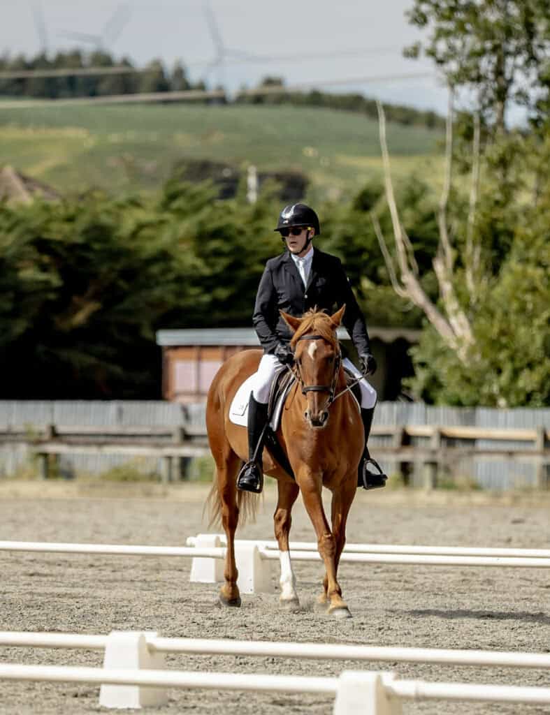 Equestrian rider on a chestnut horse during a dressage event in New Zealand.