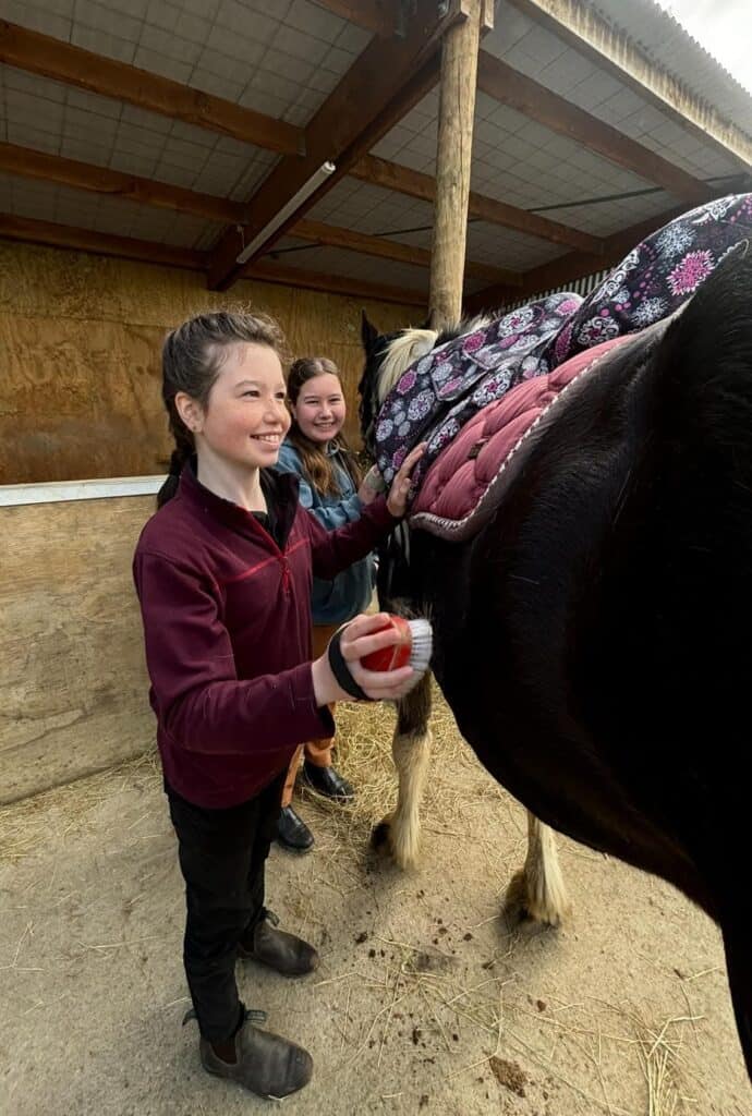 Children grooming a horse at Reigning Downs Hauora Centre in New Zealand.